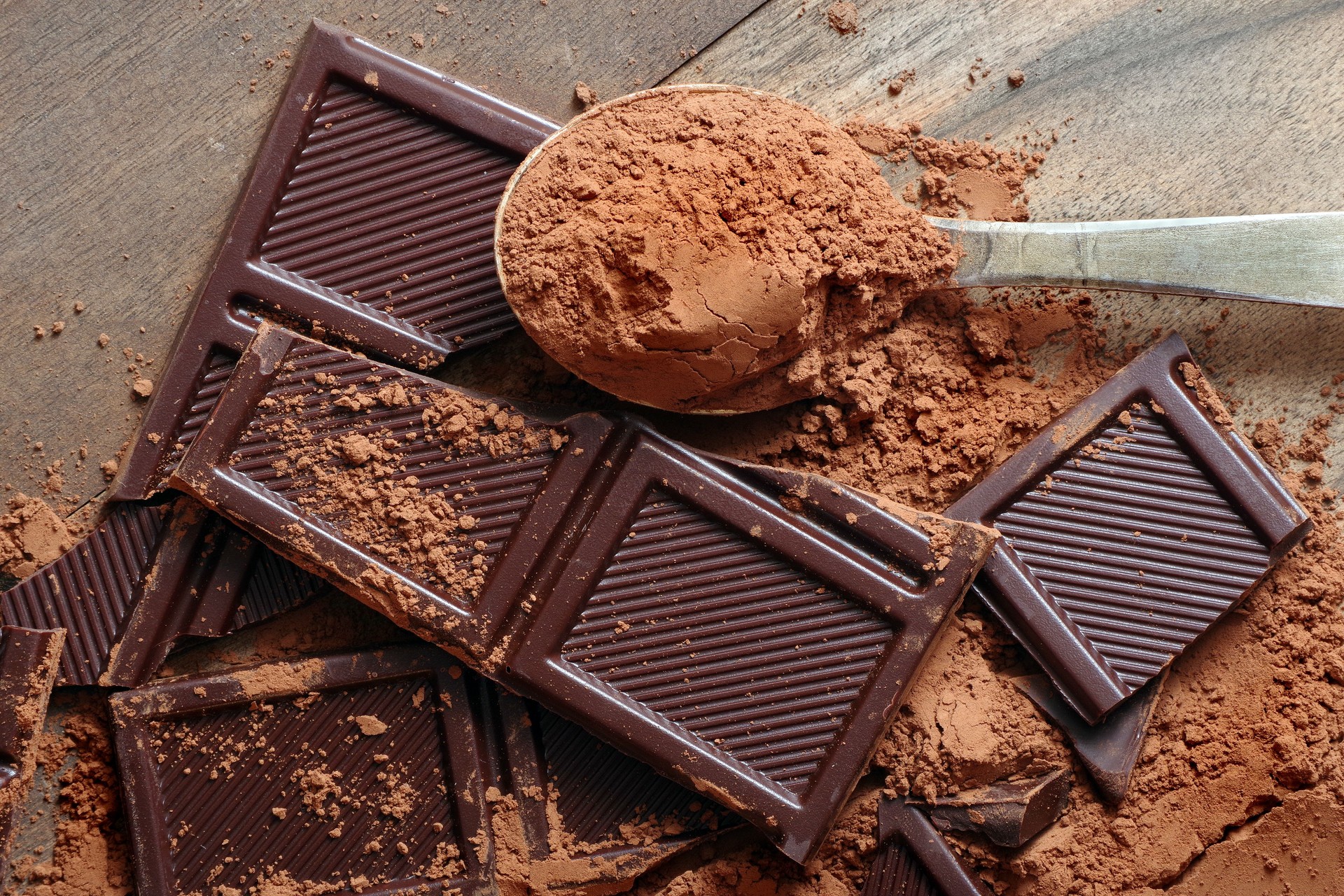 cocoa powder in a spoon and pieces of broken chocolate bar. top view